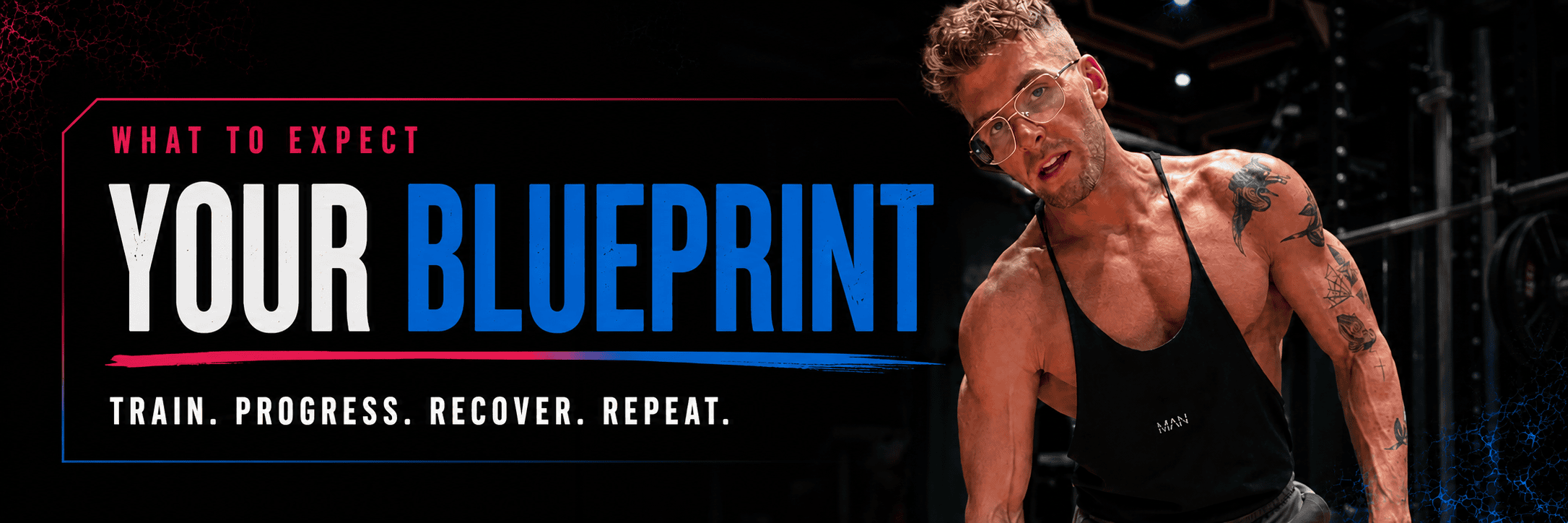 The Viral Gym Blueprint programme explanation